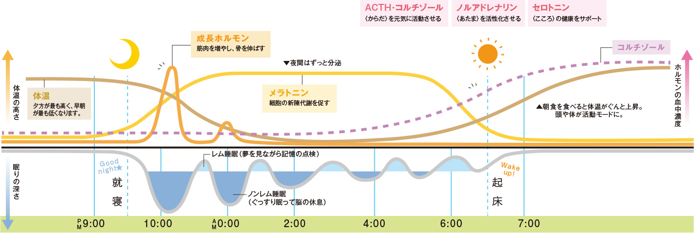 睡眠の質の向上のために